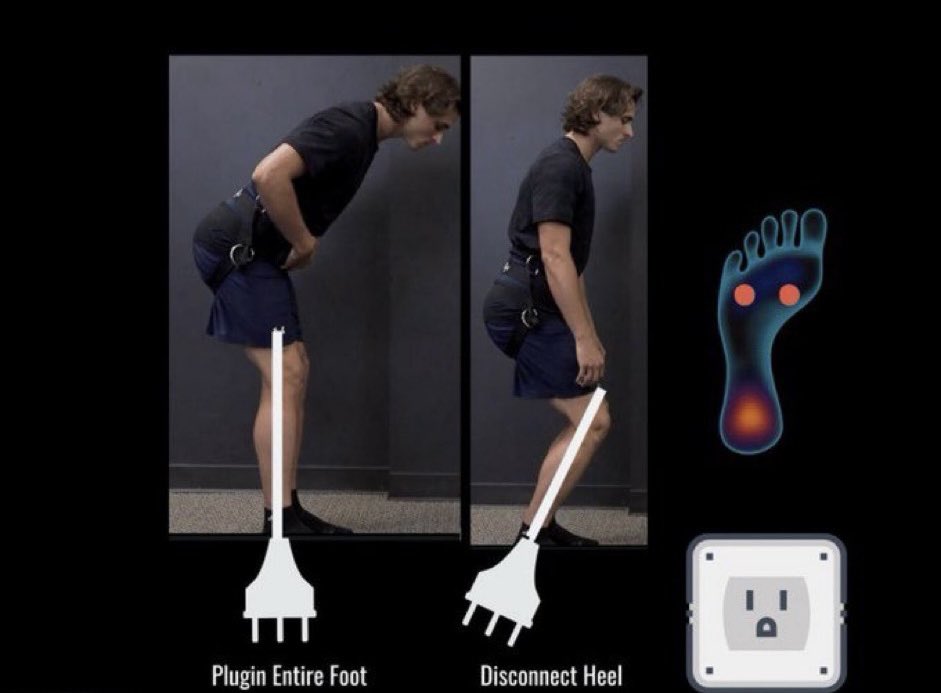 Core Velocity Belt tweet media