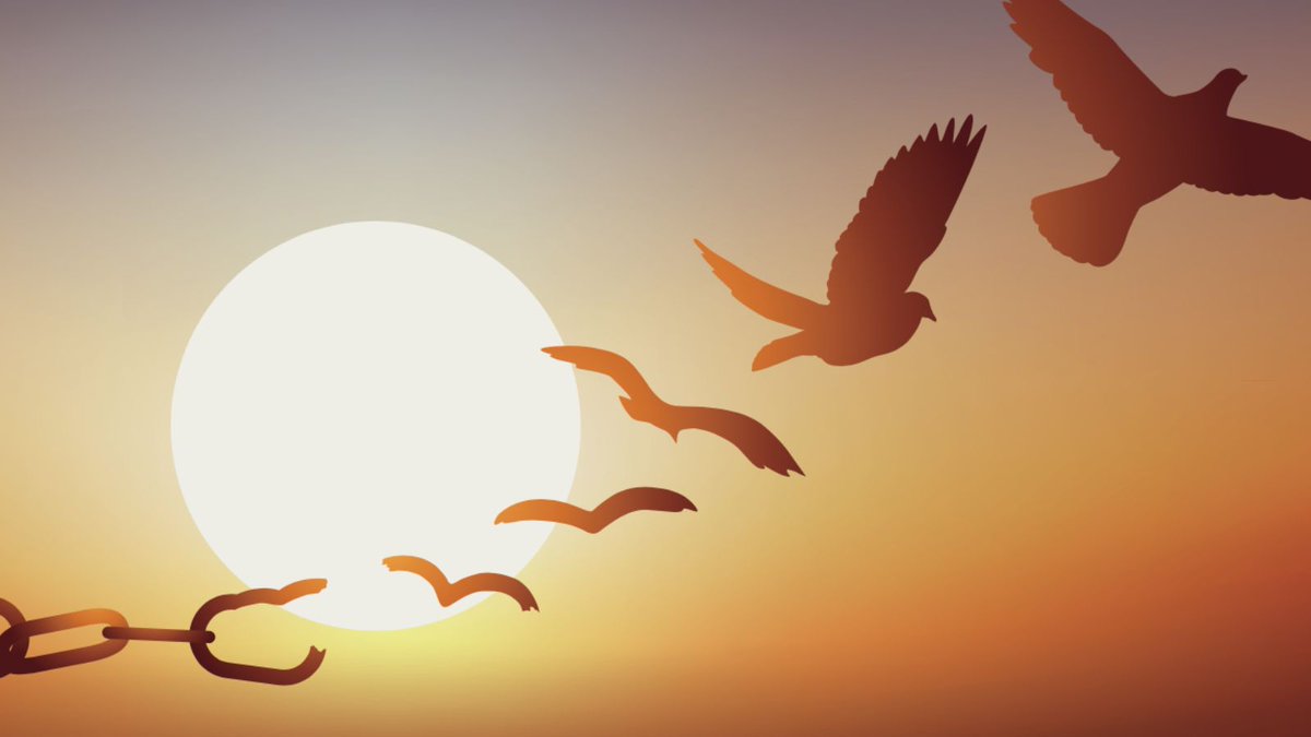 PZInitiative's tweet photo. We're excited about the updates to our website--with more to come! Check it out, and join us in creating a world where everyone can thrive: https://t.co/u3dWRm3jYr
@PZInitiative #PhoenixZones #RiseAndThrive #JustOneHealth https://t.co/i1UboTXLdp