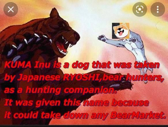 And that class, is why we call it a #Kuma Market 👨‍🏫🚀