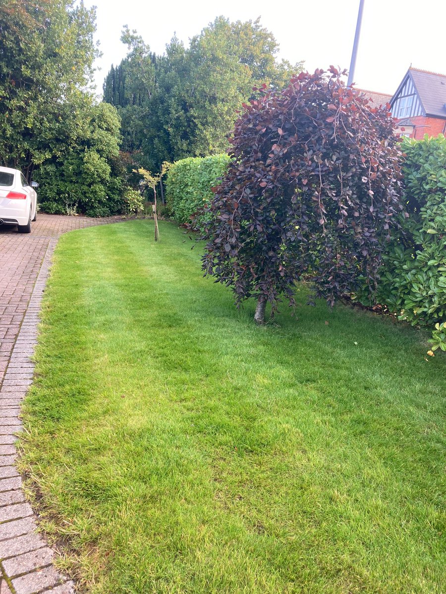 Take a look at this lawn in Penarth we treated for a leatherjacket infestation - it looks good as new! 
Read our latest blog to learn more about what treatments we used to get this lawn looking so vibrant and fresh:
lawnweedexpert.co.uk/news/post/lawn…