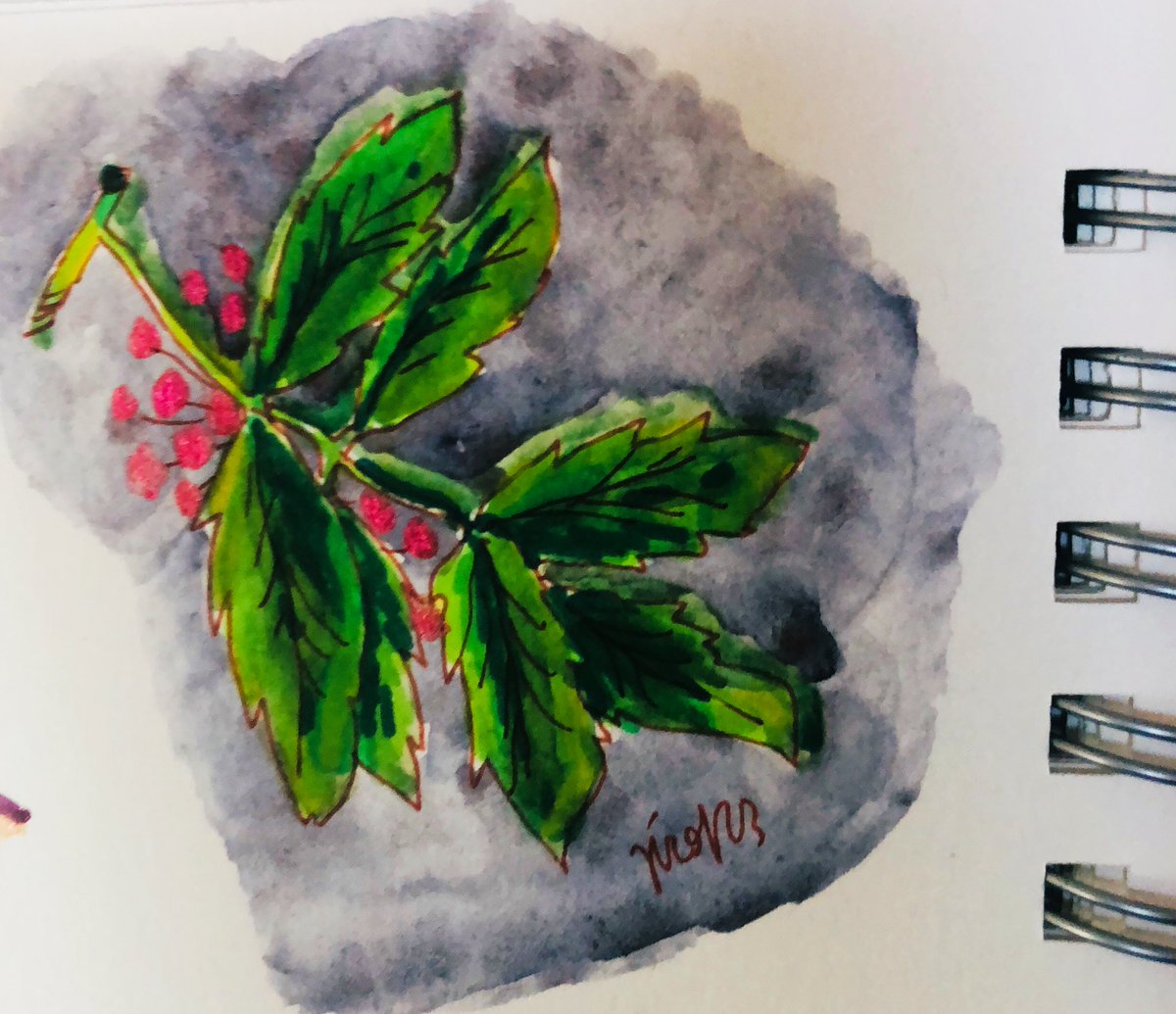 ypical_writer's tweet photo. Hey Leute, die neuen Billigmarker vertragen sich sehr gut mit meiner Glitzerfarbe 😄😄
#JuneArt
#JuneZeichnet
#kleineKunstklasse https://t.co/QsF0BR2k1c