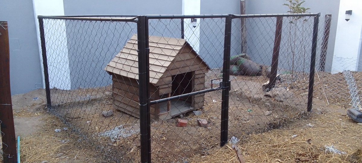 RealSupremacyZW's tweet photo. Secure your pup's kingdom with Real Supremacy's Chainlink Dog Kennel - the ultimate blend of durability and style. Give your furry friend the royal treatment they deserve. 
Contact us on: 0784655777  0785126821
#RealSupremacy #ChainlinkKennel #DogLovers #pets #dogs https://t.co/XG1Z4nt3Yh