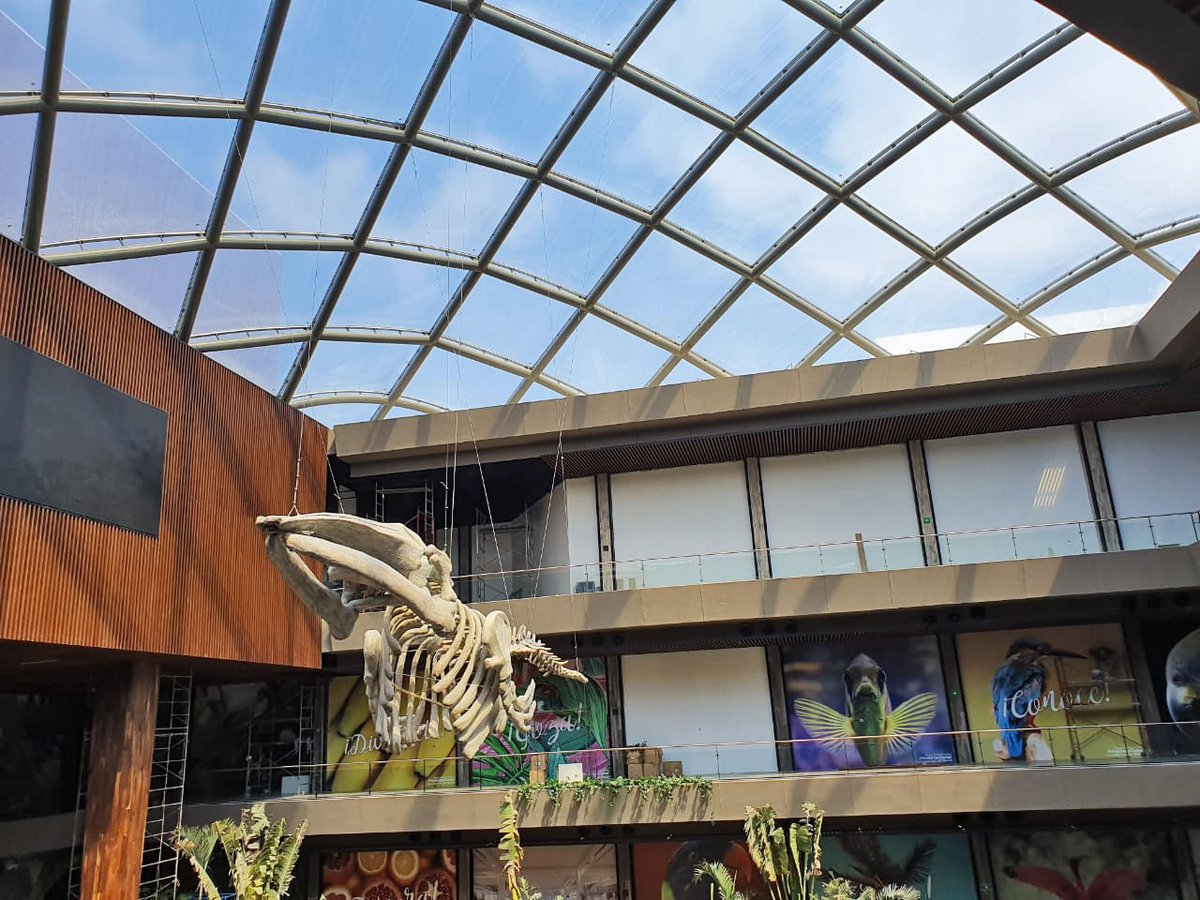 Enclos Tensile Structures answers all of your questions about building envelopes, including questions about materials and applications. Read our Learn article “What Is A Building Envelope?” here: hubs.ly/Q01_lT-F0