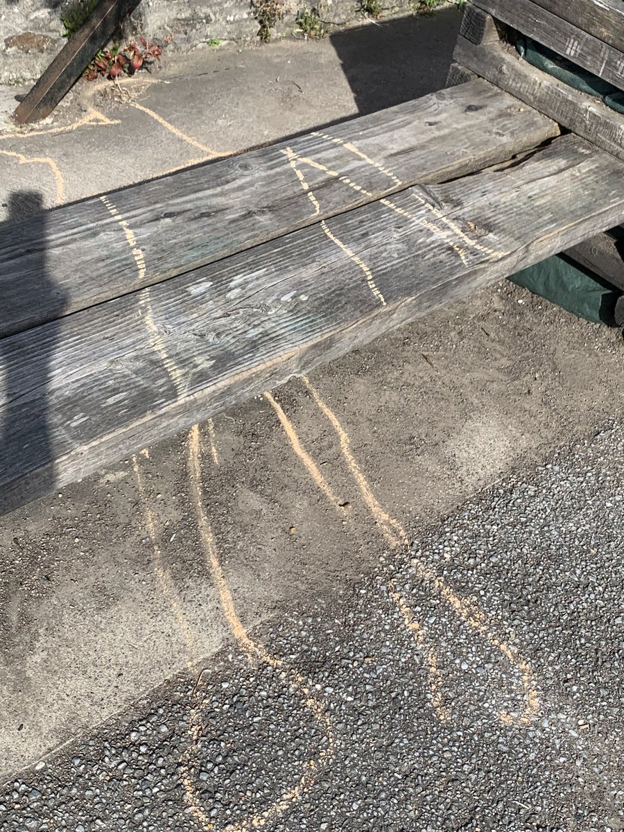 StThomasMoray tweet media