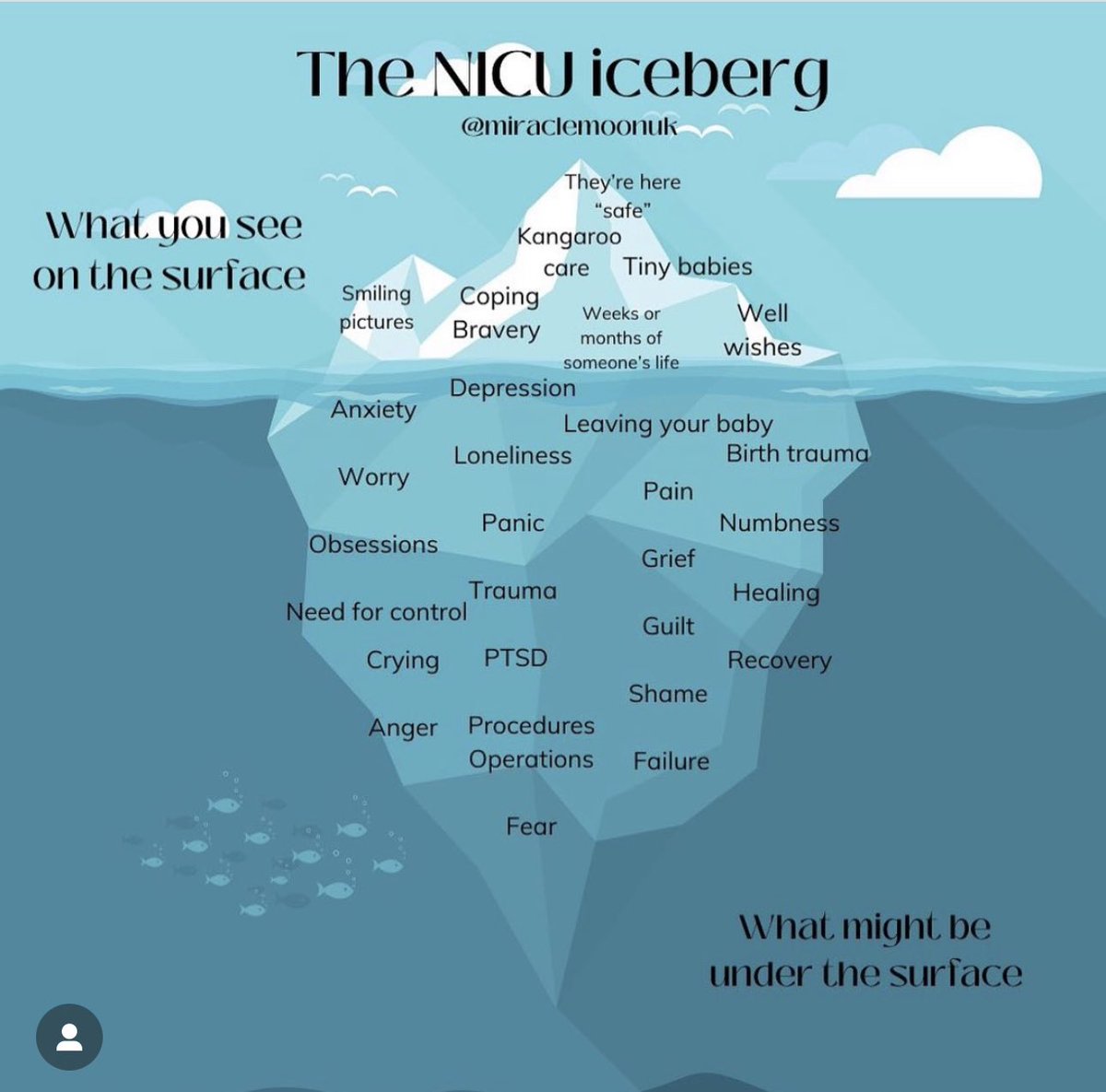 Neonatal Surgery BWC tweet media