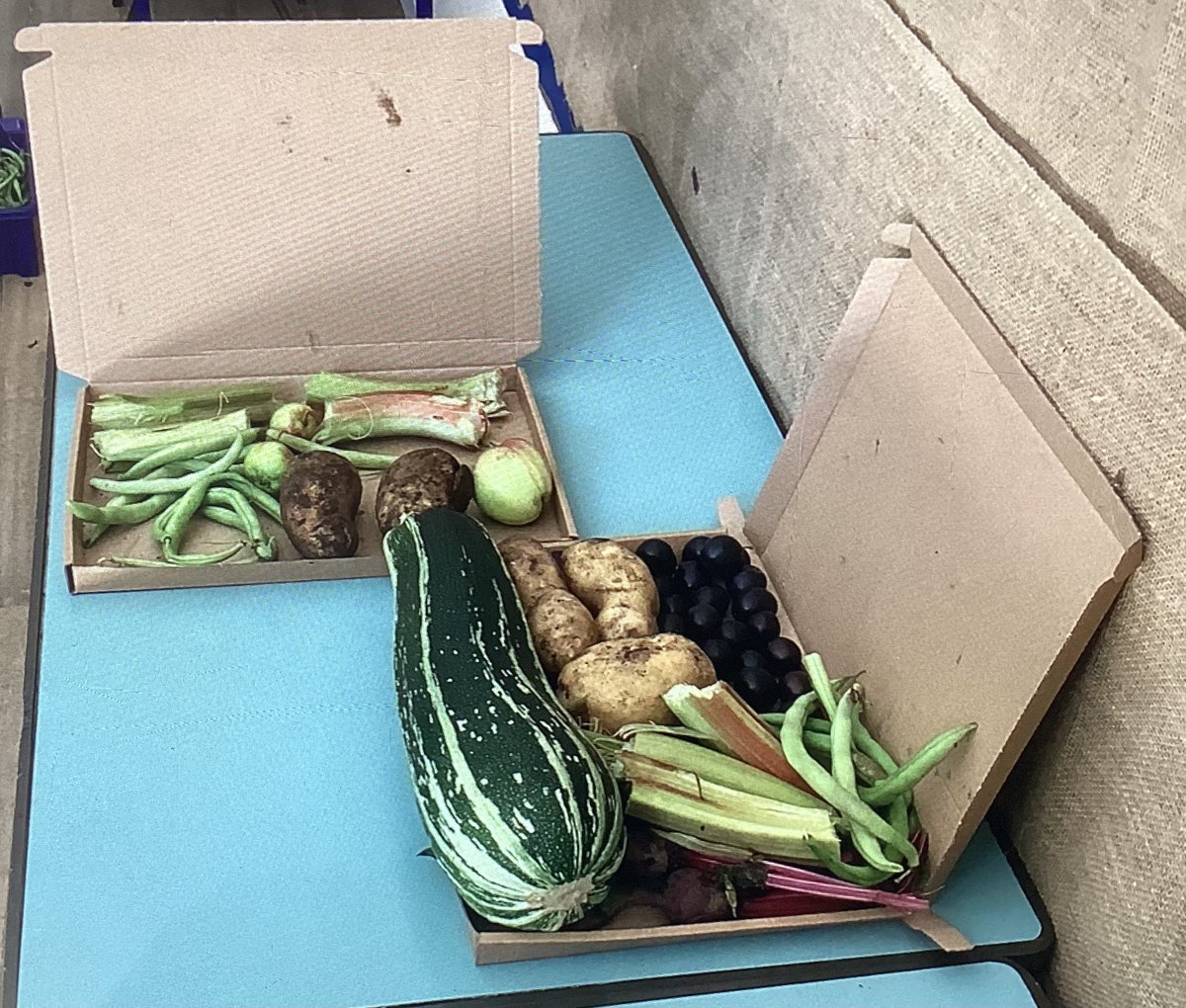 LongboroughCofE's tweet photo. Thank you to everyone who supported our produce sale today! Picked and packed with care by Class 4. https://t.co/dOlLaTSnDx