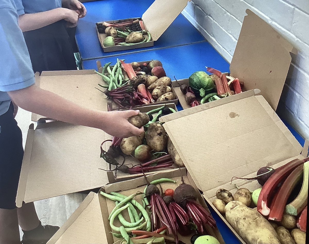 LongboroughCofE's tweet photo. Thank you to everyone who supported our produce sale today! Picked and packed with care by Class 4. https://t.co/dOlLaTSnDx