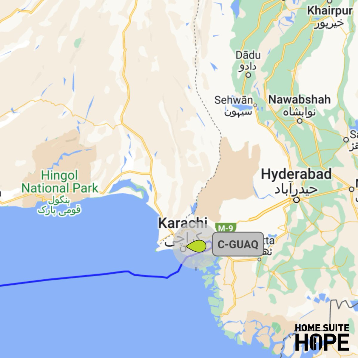 Home Suite Hope tweet media