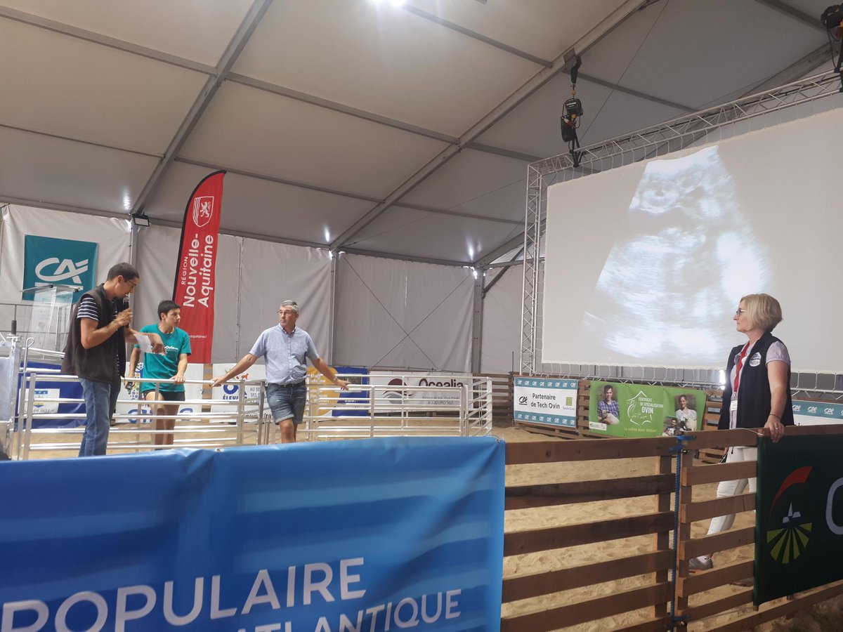PoleAnimal_Coop's tweet photo. @MaurineGrvz et F.MONGE président de la filière ovine de @lacoopagricole sont présents auprès des adhérents sur le salon #TechOvin, entre animations et conférences, c'est LE rendez-vous des acteurs du monde #ovin pour échanger et faire le point sur l’évolution de la filière. https://t.co/C3S7QVfkOs