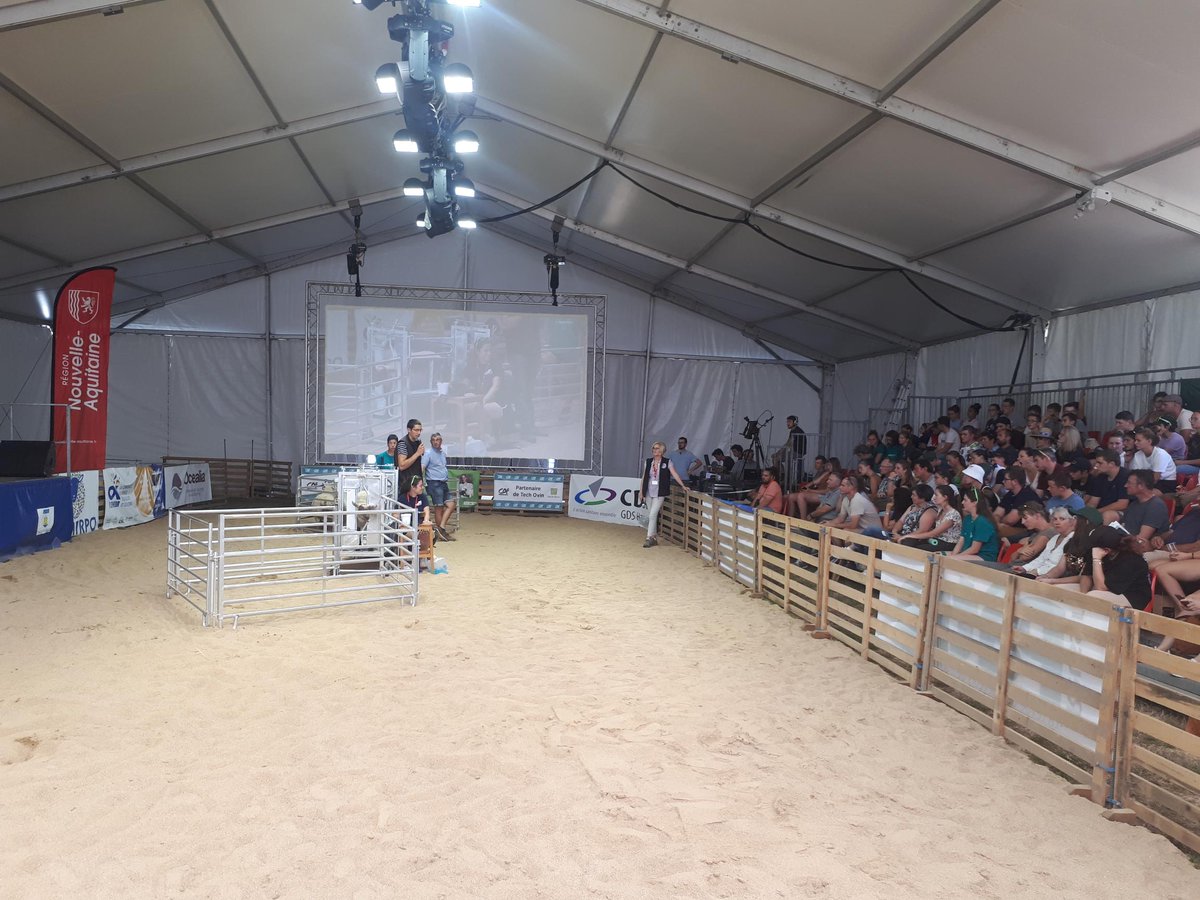 PoleAnimal_Coop's tweet photo. @MaurineGrvz et F.MONGE président de la filière ovine de @lacoopagricole sont présents auprès des adhérents sur le salon #TechOvin, entre animations et conférences, c'est LE rendez-vous des acteurs du monde #ovin pour échanger et faire le point sur l’évolution de la filière. https://t.co/C3S7QVfkOs