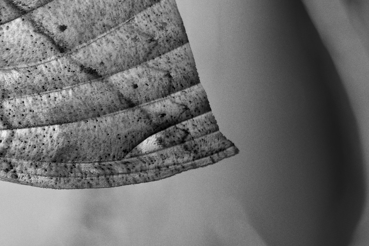 NoMoonLA's tweet photo. Jeffrey Stuker's solo exhibition 'Feelings Out of Season' opens at No Moon LA September 14th at 6PM #nomoonla #jeffreystuker #thefulcrumpress https://t.co/wmL76fhIlo