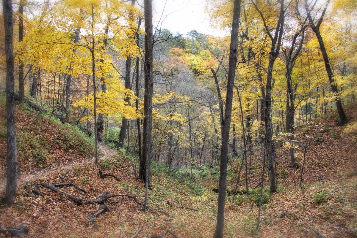 SHB_Photography's tweet photo. I took this photo while I was walking some of the trails at Interstate Park in Taylors Falls, MN when I went on a Fall Colors photo adventure with my son.
#ScottBerglundPhotography #Photography #Minnesota #FallColors #Nature #Outdoors #TaylorsFalls #InterstatePark https://t.co/0jMjWByfQc