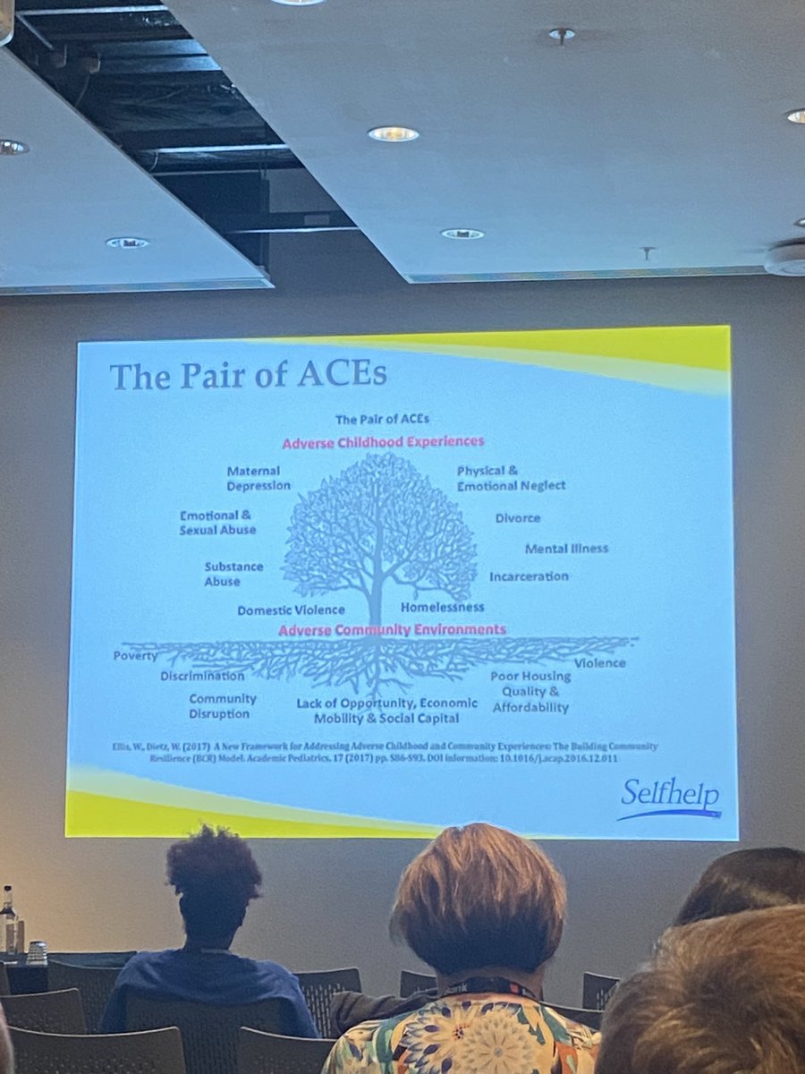 How the #PairofAces inform the approach to #traumainformed principles in this housing model which takes a holistic approach to #SDOH @SelfhelpNY #GAN2023