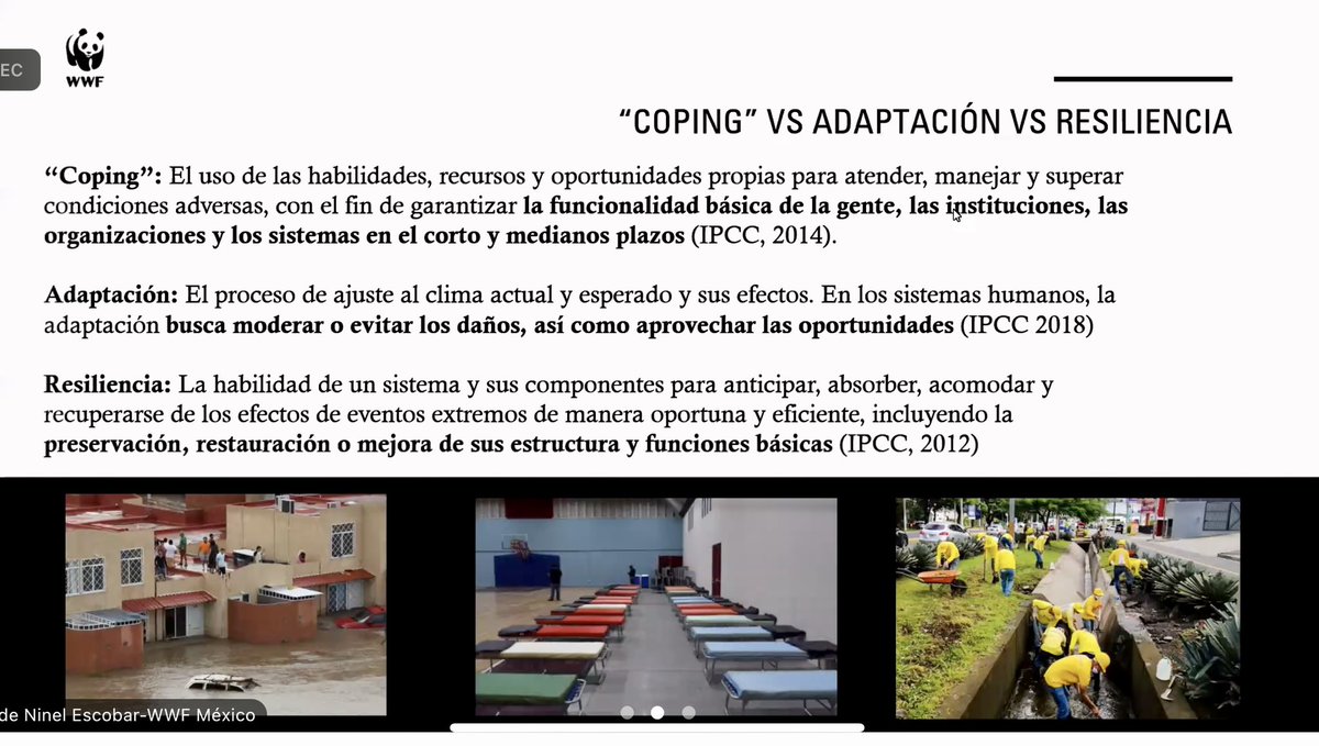 fmontesdeocaj's tweet photo. 🌐 | Hacia un futuro sostenible: Integrando medidas de adaptación al cambio climático en la estrategia Empresarial. 

Desde UN Global Compact se abordaron temas relevantes en la época actual, con casos de éxito y técnicas que permitan cumplir proyectos sostenibles dentro de las Empresas.

#PactoGlobal #sostenibilidad @pactocolombia @PactoGlobalEcua @reid_tic
