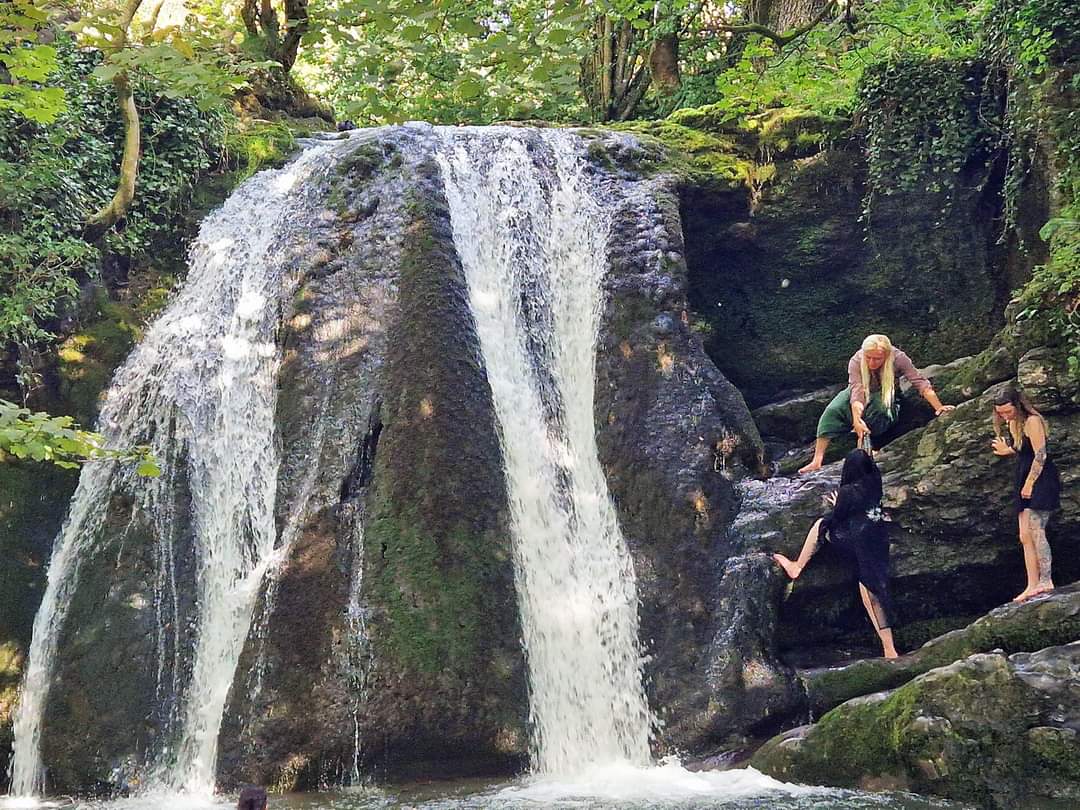 Throwback to last weekend because I need more days like that in my life 💦🌳