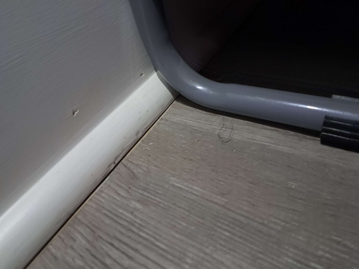 Mica Scotti Kole (On Hiatus) tweet media