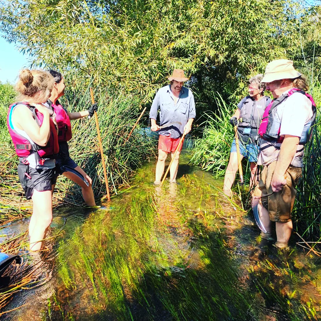Nick Walker (@themasterthatch) on Twitter photo A hot spell, and while work on the roof has been ongoing, today was a pleasant change, for I headed to my local river, the Waveney.
I spent the day waist deep in cool waters, gathering bulrushes with <a href="/RiverWaveney/">River Waveney Trust</a>. These will be woven into furniture seats by <a href="/par_avion_co/">par-avion co.</a> A hot spell, and while work on the roof has been ongoing, today was a pleasant change, for I headed to my local river, the Waveney.
I spent the day waist deep in cool waters, gathering bulrushes with <a href="/RiverWaveney/">River Waveney Trust</a>. These will be woven into furniture seats by <a href="/par_avion_co/">par-avion co.</a>