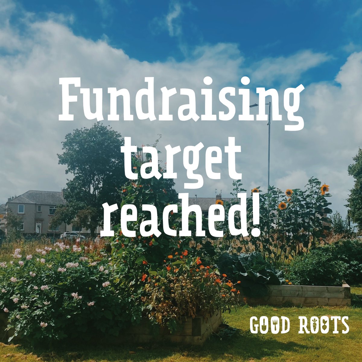 Good Roots tweet media