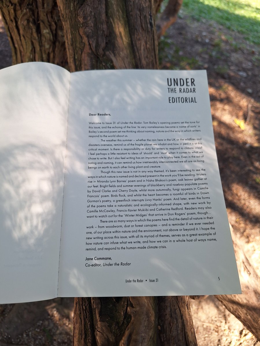 Great to get my copy of Under the Radar today. Many thanks to Jane Commane, Matt Merritt, and Maria Taylor @NineArchesPress for this beautiful, nature-oriented issue