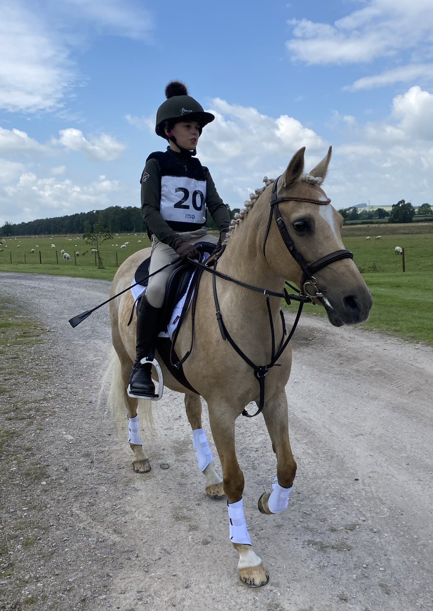 boyandhispony's tweet photo. How it started vs How it’s going 😍

#boysridetoo #boyswhoride #pony #eventer #eventerintraining 

@Sed_Equestrian @sedprepriding @SedPrepSport https://t.co/JYJQ3JrBi9