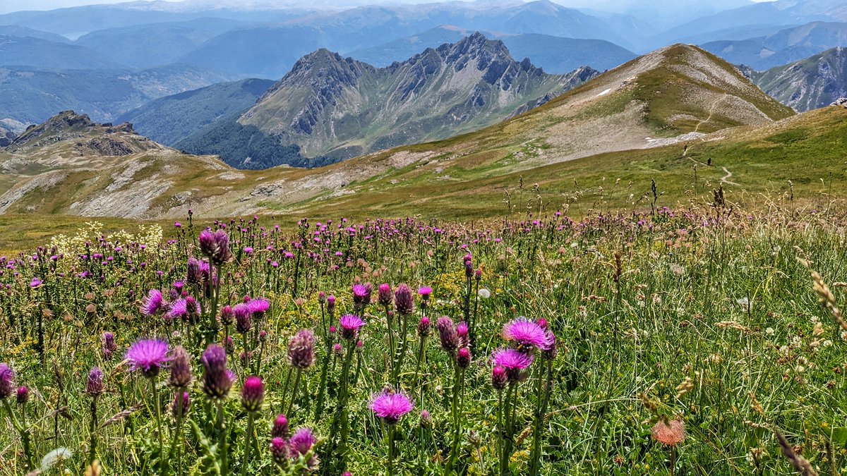 HopelesNomantic's tweet image. If I had one piece of advice for this hike.. it would be "don't forget sunscreen!"
hopelesslynomantic.com/2023/08/24/mou…

#mountkorab #hikingproblems #hiking