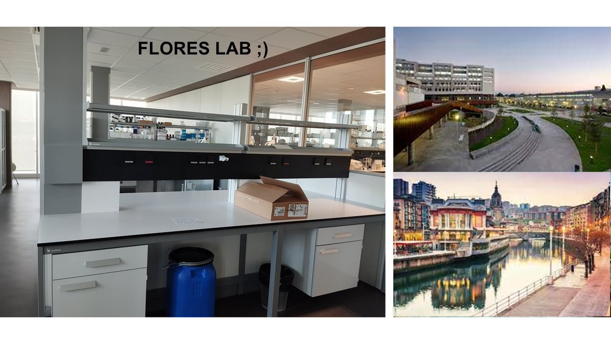 Hector Flores Romero (@floresromeroh) on Twitter photo Happy to share I am starting a new adventure at <a href="/AchucarroGlia/">Ʌʗʜʋʗɑɼɼʘ</a> together with <a href="/Ikerbasque/">Ikerbasque</a> and <a href="/AgEInves/">Agencia Estatal de Investigación</a>. New ideas, new life at home. Grateful to the Achucarro for the opportunity and to <a href="/GarciaSaez_Lab/">Garcia Saez Lab</a> for all these amazing years, making this possible. A lot to come!! Stay tuned! Happy to share I am starting a new adventure at <a href="/AchucarroGlia/">Ʌʗʜʋʗɑɼɼʘ</a> together with <a href="/Ikerbasque/">Ikerbasque</a> and <a href="/AgEInves/">Agencia Estatal de Investigación</a>. New ideas, new life at home. Grateful to the Achucarro for the opportunity and to <a href="/GarciaSaez_Lab/">Garcia Saez Lab</a> for all these amazing years, making this possible. A lot to come!! Stay tuned!