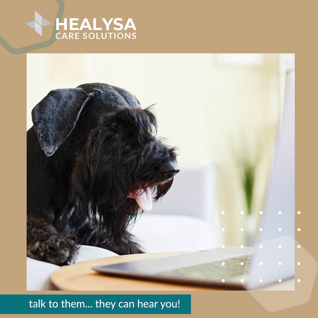 HealysaCare's tweet photo. Smart video feeder...
Check, connect and monitor your lovely pets! https://t.co/zKrZQTlmkI