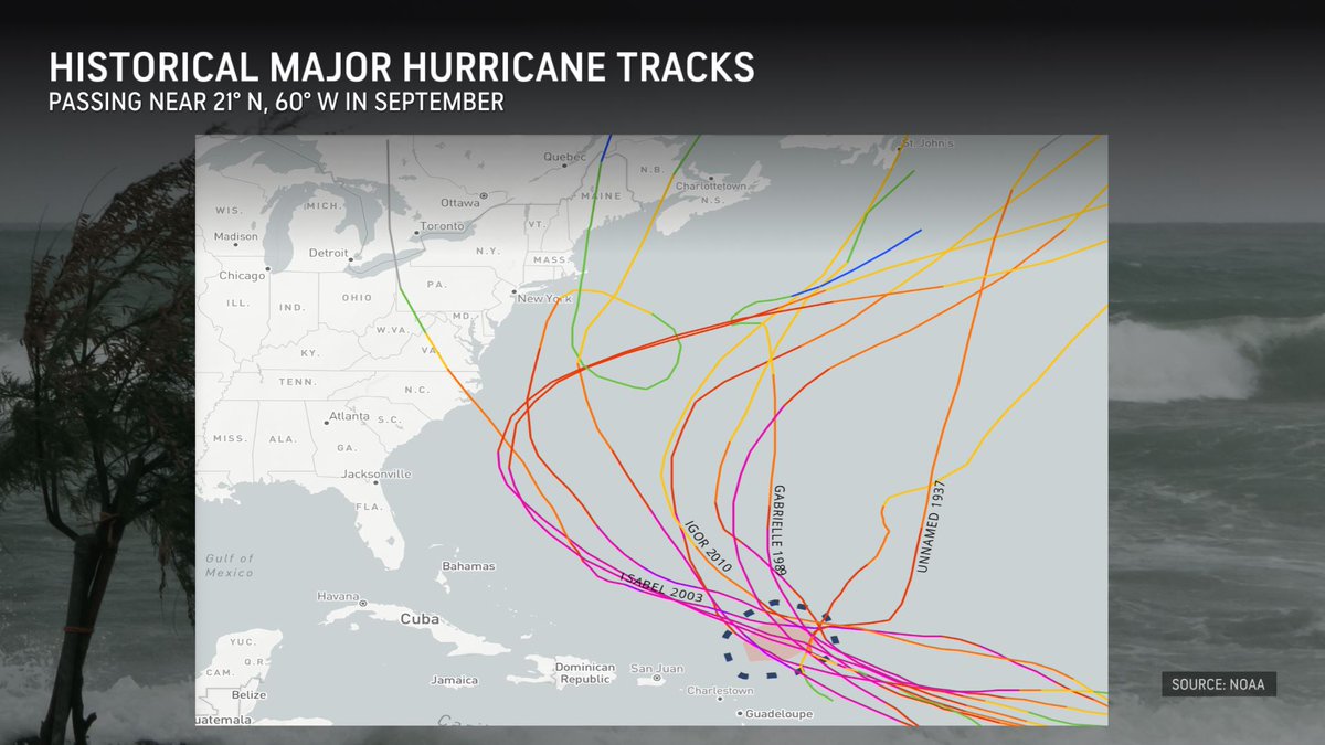 Bernie Rayno tweet media
