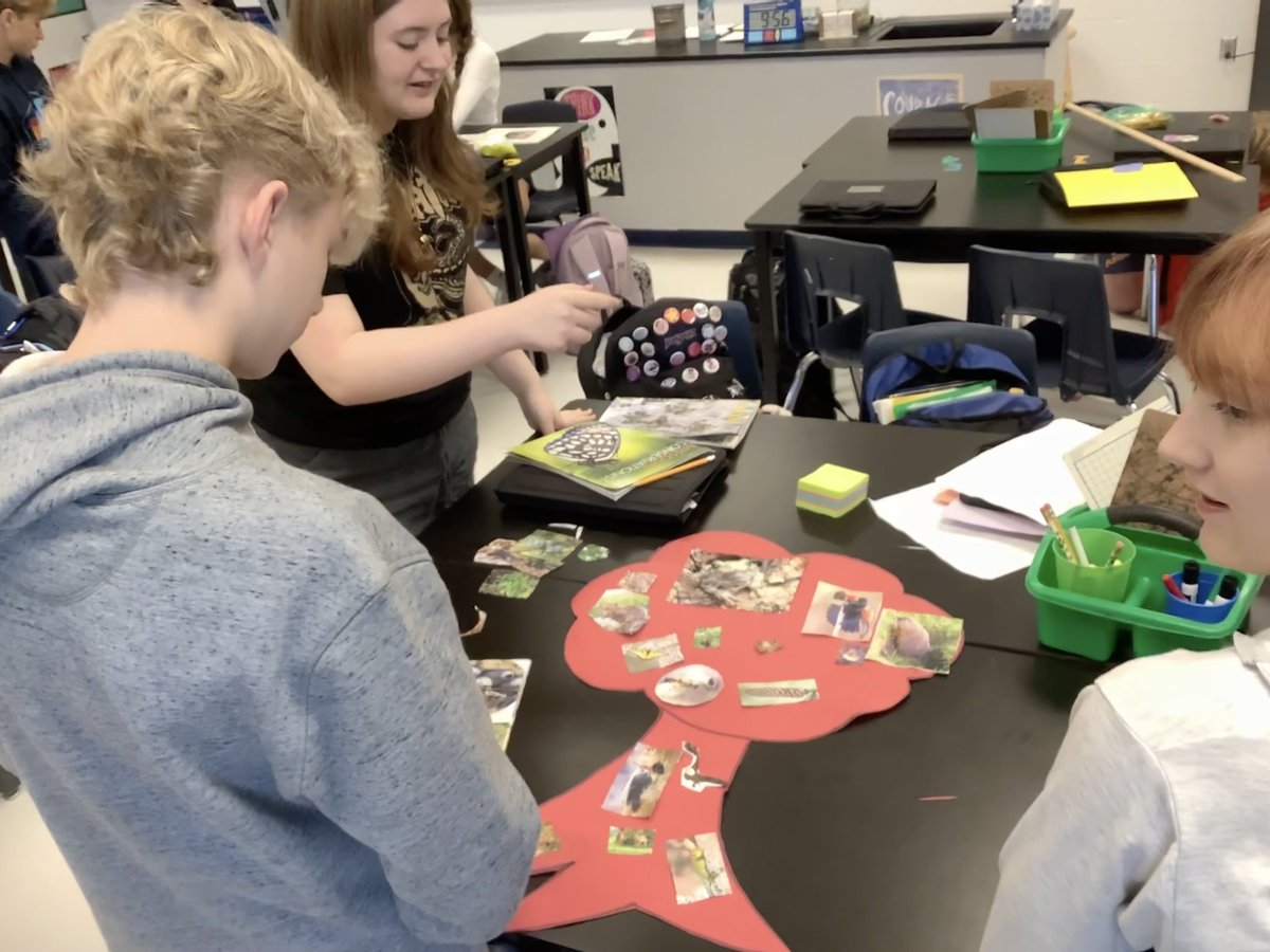 Ms_Steger's tweet photo. Back to school!  Completed a science activity to get them back into the swing of things.  They made a collage of something science or engineering.  They had to cut the shape out, then fill it in with pictures &amp; adjectives that they could connect back to SorE. https://t.co/2dXXXXQBmR