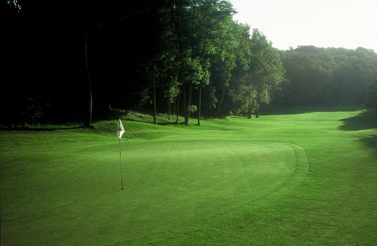 Belgian Golfer tweet media