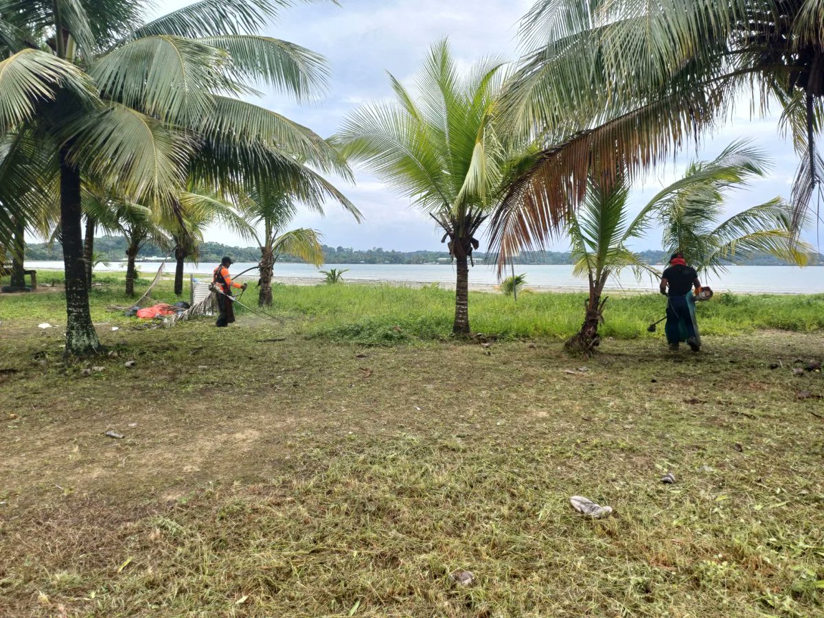 alcaldiabocas's tweet photo. Nuestro Personal de Áreas Verdes, se encuentra en los Terrenos de la @feriadelmarbocasdeltoro realizando el.mantenimiento de dicha área.
#SeguimosTrabajando
@AmupaOficial @AdalpaPanama @TheBocasBreeze @MinGobPma
#bocasdeltoro #panama #Islacolon #islandlife #community https://t.co/rJRk1X9d1b