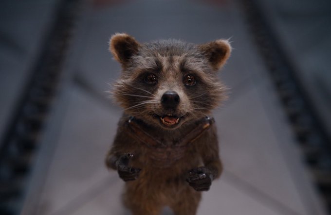 Cinema_News007's tweet photo. #متداول
مخرجة "I AM GROOT" تكشف عن اهتمامها بتطوير سلسلة قصيرة لـ "Rocket الرضيع"!
#IAMGROOT #BabyRocket #Shorts #Marvel #DisneyPlus #MustSee https://t.co/1J3MK8BeMX