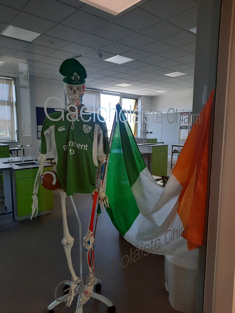 Roinn Eolaíochta uallamh don Satharn. Éire Abú. The science department are ready for Rugby World Cup. Éire abú 🇮🇪