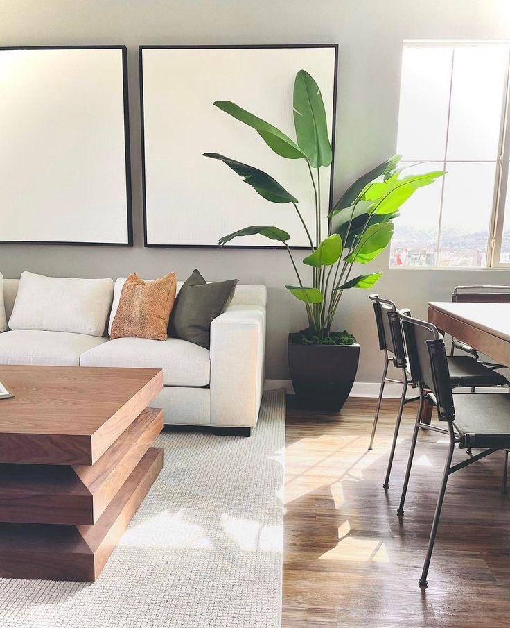 1/2
Indoor plants🪴play a vital role in greening your home. They purify the air by removing toxins, increase humidity, and boost oxygen levels. 

Plants help regulate indoor temperatures, reducing the need for heating and cooling.