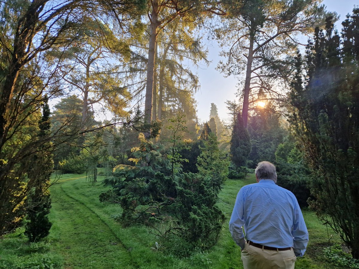 2 daagjes actief op een van de pareltjes van Vorden, 'Pinetum De Belten' 😊