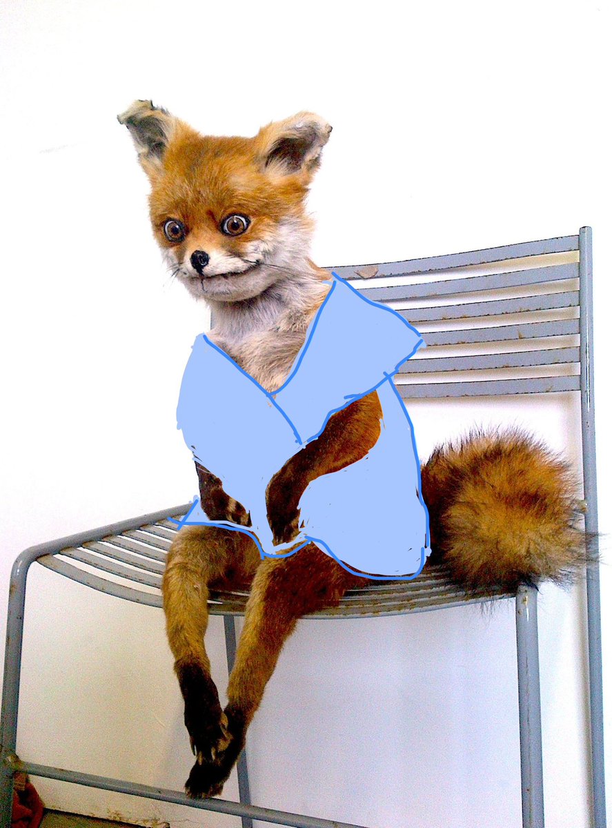 Hurt Shrew tweet media