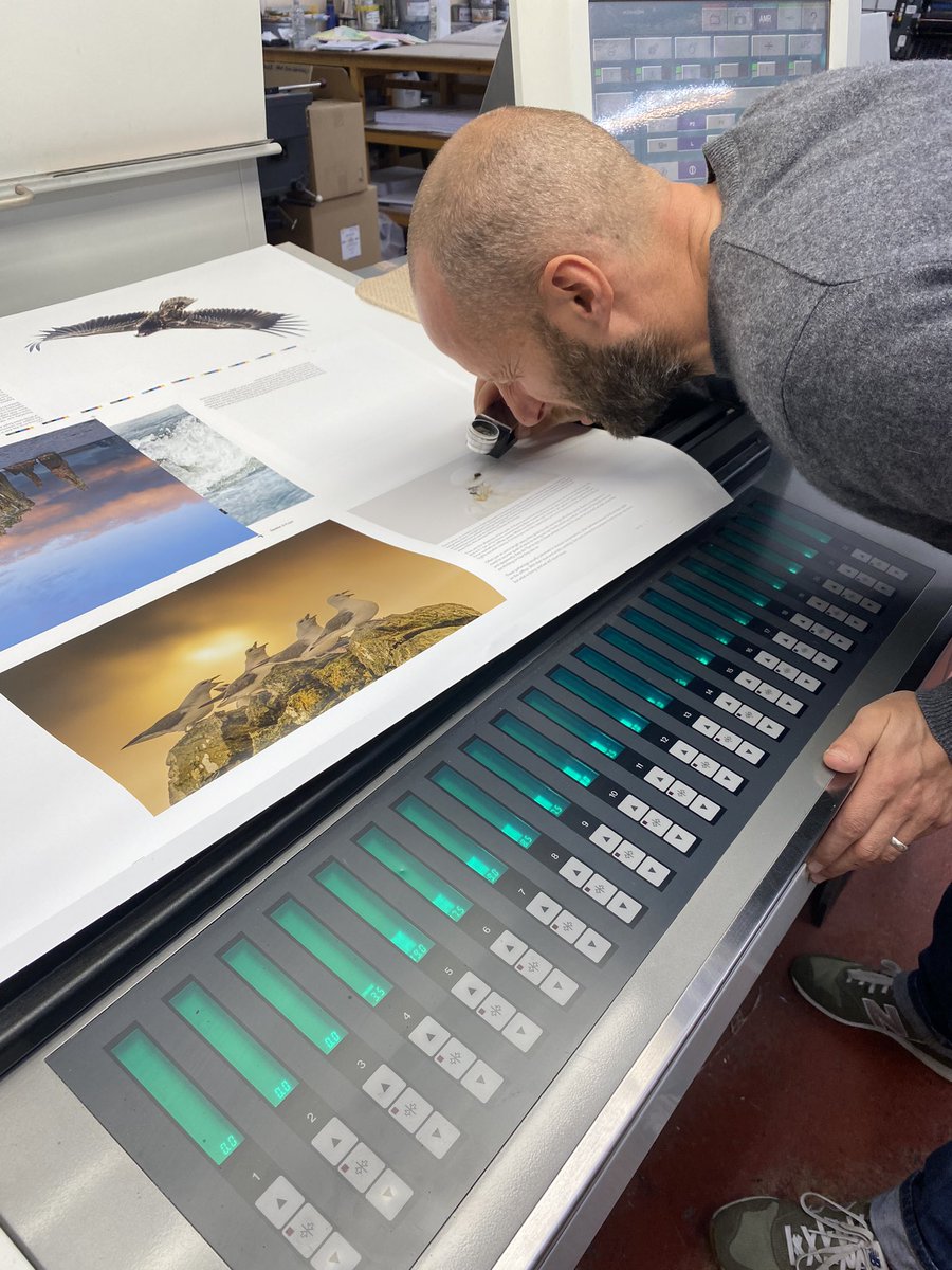 Brydon Thomason tweet media