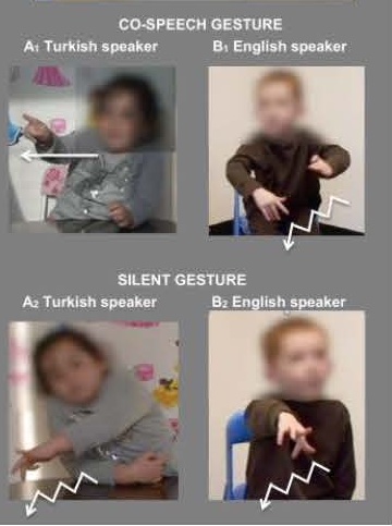 Children's gestures show cross-linguistic differences when speaking and cross-linguistic similarities when not speaking by age 3-4 #gesture #language #child #crosslinguistic

Development of gesture with and without speech: Language &amp; Cognition | bit.ly/3P0Urje