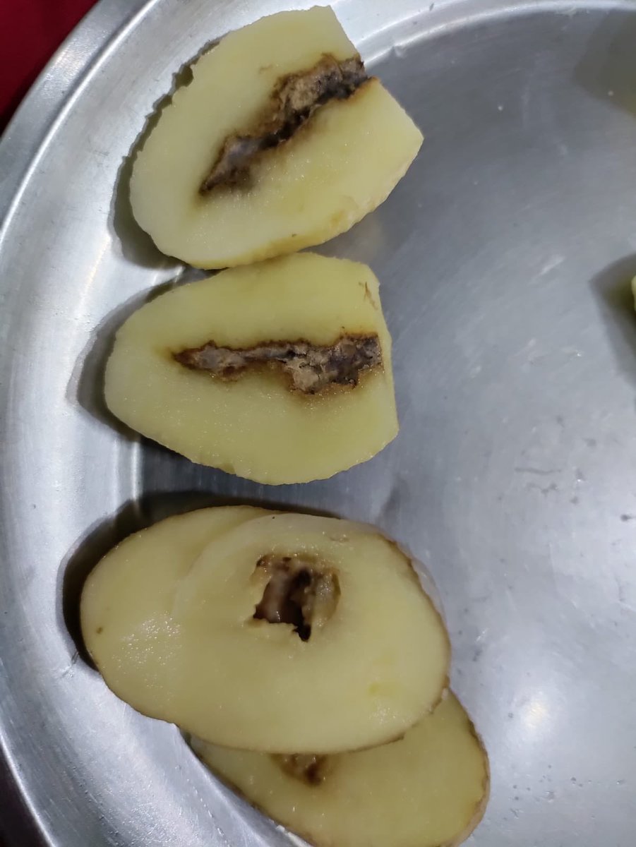 prateekagg09's tweet photo. @letsblinkit @zomato When everyone is racing towards 10 min del. &amp;quality is a thing of past. Friend ordered this ,having fast , relied on fast delivery and was presented with this. A big shame on your tagline “Speed is our middle name” , Refund is not the only fix @FCI_India https://t.co/uSjxV3tbtf