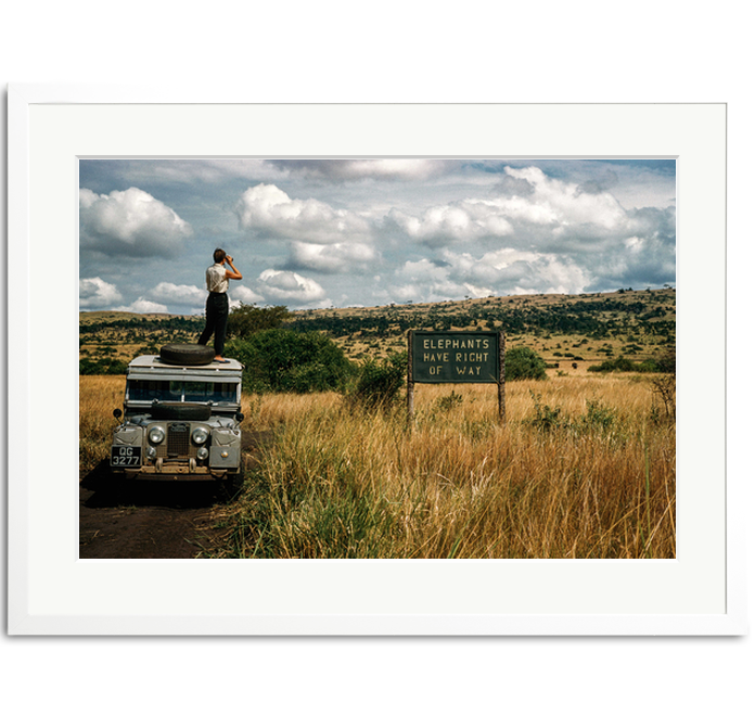 soniceditions's tweet photo. Jinx Rodgers looks for elephants, 1958, captured by George Rodger. https://t.co/3StBfwpf7C