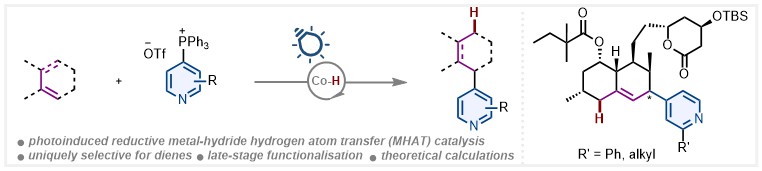 Very happy that our cobalt catalysed reductive coupling of dienes and pyridines is online now @angew_chem! Congratulations to the whole team for their hard work! doi.org/10.1002/anie.2…