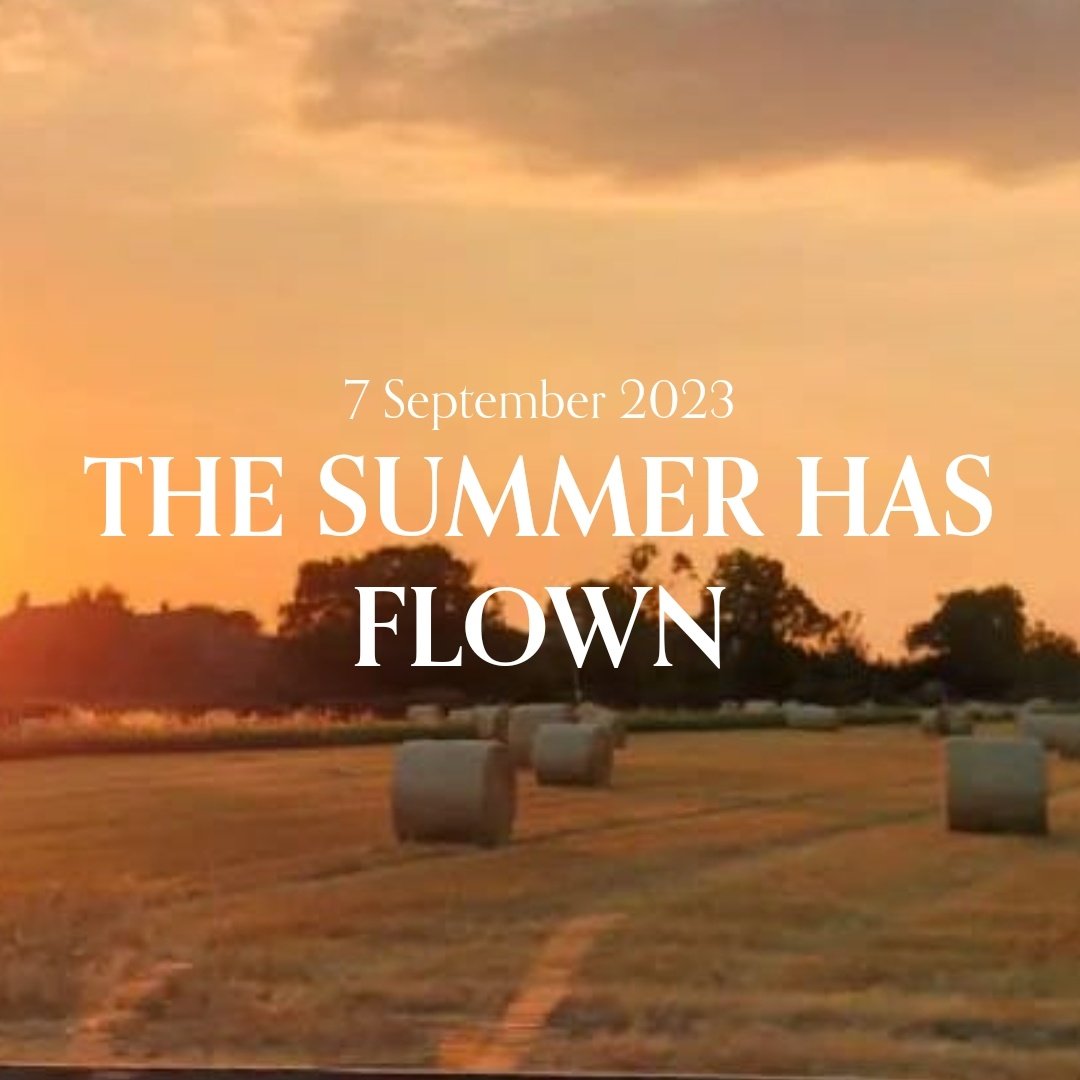 KatherinePriddy's tweet photo. Hello friends. I've published a new blog post over on my website - a personal ramble about what my Summer has held, what the Autumn may be holding and the importance of these seasonal cycles. 🌞

https://t.co/WcsBPzQ5jM https://t.co/A9WclWWnOU