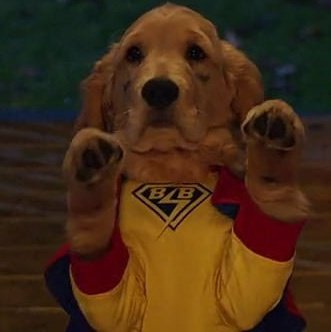 #NewProfilePic  

I'm the master at begging for a treat.