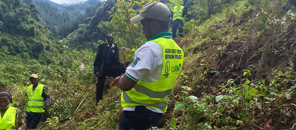 MillionTrees_Ug's tweet image. We announce our membership to @ca4sh_global that was launched at @UN Food System Summit 2021 to improve #SoilHealth globally.

Through agroforestry, urban &amp;amp; conservation forestry we're to add our efforts by restoring degraded lands with local people.

#GenerationRestoration