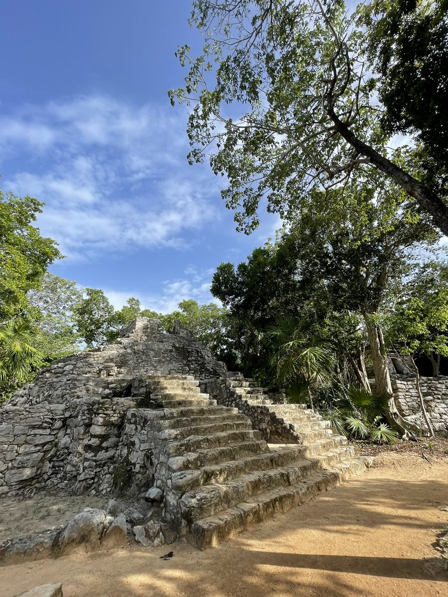 Hermione Kitson tweet media