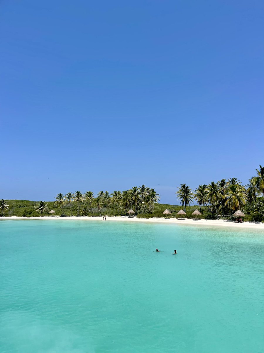 Hermione Kitson tweet media