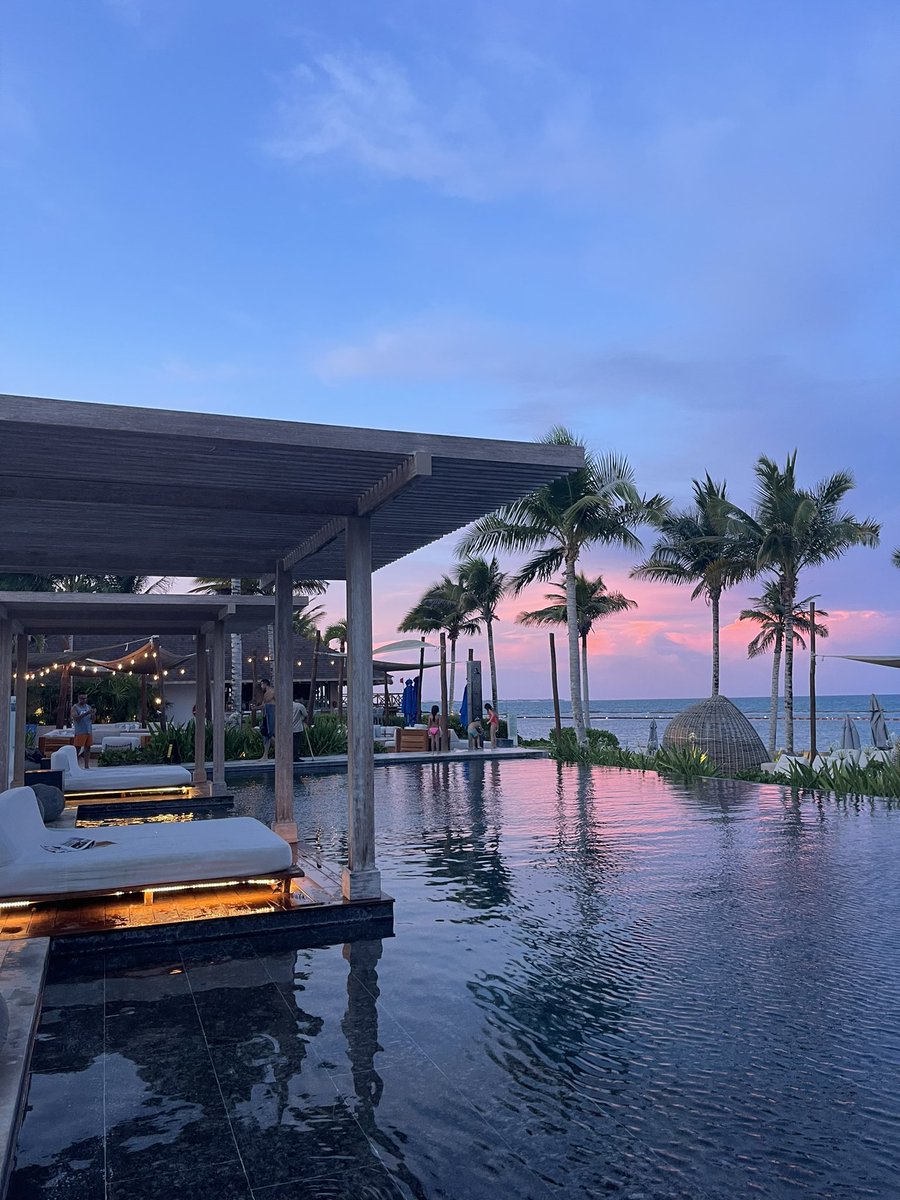 Hermione Kitson tweet media