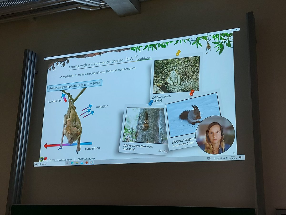 <a href="/ZoolSocietyGer/">DZG</a> <a href="/morphonews/">MorphoNews (DZG)</a> <a href="/dzgevol/">DZG Evolution</a> <a href="/sysbiodiv/">SysBioDiv</a> <a href="/DZG_FG_Neurobio/">DZG Neurobiologie</a> <a href="/BiologyDzg/">DZG Developmental Biology</a> <a href="/dzg_fg_okologie/">DZG Ökologie</a> <a href="/DZG_Behaviour/">DZG section Behavioural Biology</a> <a href="/StephiReher/">Stephanie Reher</a> <a href="/StephiReher/">Stephanie Reher</a>  <a href="/ZoolSocietyGer/">DZG</a> <a href="/morphonews/">MorphoNews (DZG)</a> <a href="/dzgevol/">DZG Evolution</a> <a href="/sysbiodiv/">SysBioDiv</a> <a href="/DZG_FG_Neurobio/">DZG Neurobiologie</a> <a href="/BiologyDzg/">DZG Developmental Biology</a> <a href="/dzg_fg_okologie/">DZG Ökologie</a> <a href="/DZG_Behaviour/">DZG section Behavioural Biology</a> #dzg23
