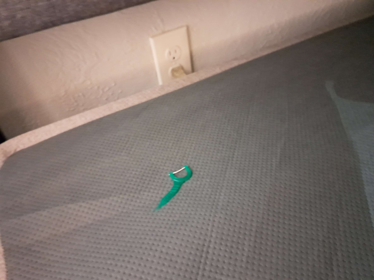 Mica Scotti Kole (On Hiatus) tweet media