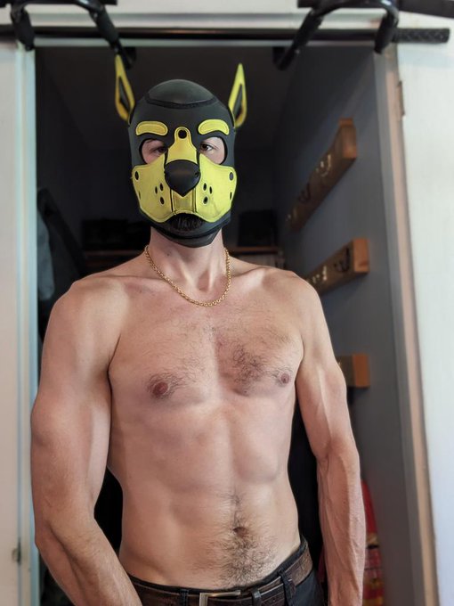 I need a muscle puppy to give me a thorough inspection. https://t.co/4zuWo5MJcD<a href="/tag/instincts"class="tags"><span>#instincts</span></a>